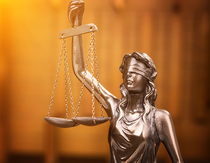 Law Service